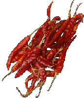 Перець Чилі стручок, Індія