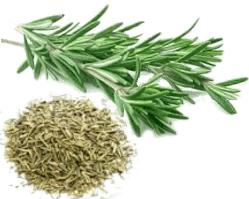 Розмарин, Єгипту, 1 кг