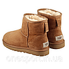 Жіночі уггі UGG Classic Mini Chestnut original, фото 3