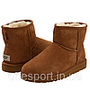 Жіночі уггі UGG Classic Mini Chestnut original, фото 4
