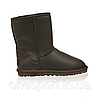 Жіночі уггі UGG Classic Short Metallic Chocolate original, фото 3