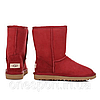 Жіночі уггі UGG Classic Short red original, фото 5