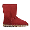 Жіночі уггі UGG Classic Short red original, фото 6
