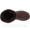 Жіночі уггі UGG Classic Short Chocolate original, фото 3