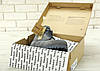 Зимние ботинки Timberland grey, мужские ботинки с натуральным мехом. ТОП Реплика ААА класса., фото 6