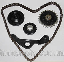 Зірочки натяжителя ланцюга распредвала + ланцюг распредвала Delta 110 TMMP, фото 3