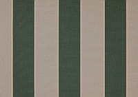 Маркізи водонепроникні тканини для навісів Dickson Orchestra 8934 ширина рулону 120см полоска зелений/бєжевий.