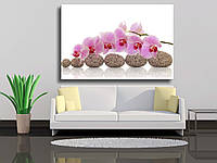 Картина на холсте "СПА-композиция из камней с орхидеей"