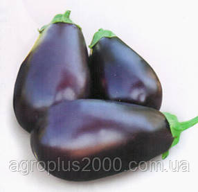 Насіння Баклажан кистьовий Прадо F1, 250 насіння Kitano Seeds, фото 3