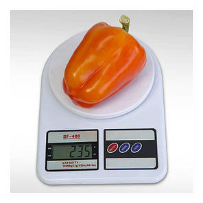 Насіння Перець солодкий KS 3115 F1, 100 насіння Kitano Seeds, фото 3