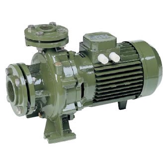 Насос SAER IR50-125 (А-C)