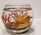 Декоративна гелева свічка Чародійка грошова жаба, фото 2