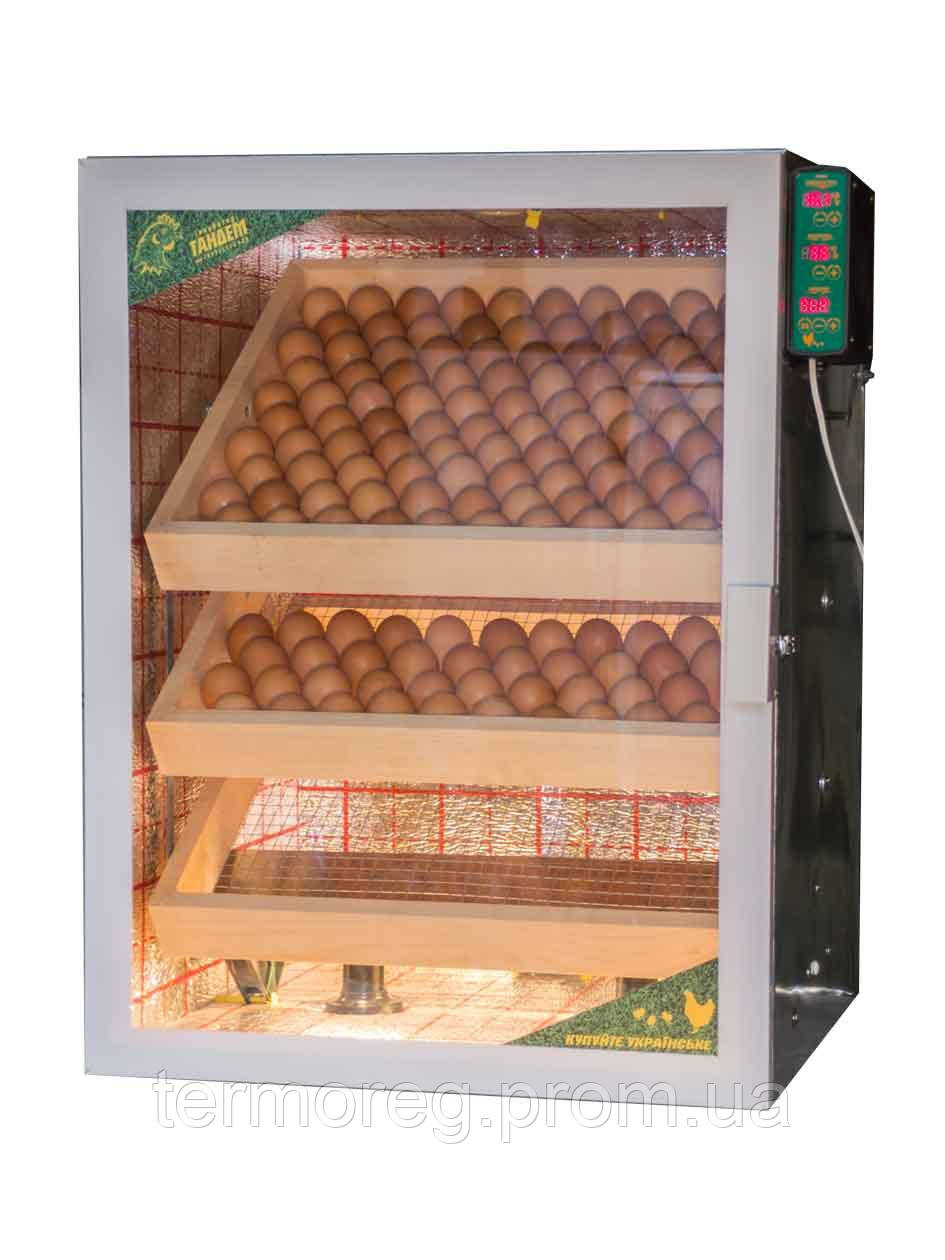 Інкубатор Тандем 300 автомат (на 300 курячих яєць)