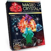 Набор для проведения опытов Magic crystal Danko Toys