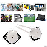 Перистальтичний насос, 100 мл/хв, 12В, фото 4