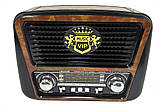 Радіоприймання MP3 Golon RX-435 Woooden, фото 3