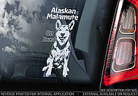 Аляскинский Маламут (Alaskan Malamute) стикер