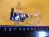 Лампочка автомобільна 12v-50w+21w (p42d/11) 2-х контактна + тракторна, фото 3