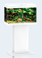 Тумба для акваріума Juwel (Джувел) Primo 70 Білий