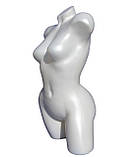 Манекен жіночий "Венера біла"., фото 2