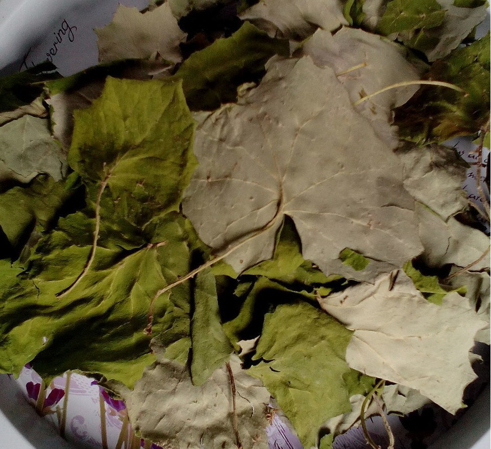 500г., Мати мачуха / Мати й мачуха / Мачушник / Білпух / підбій (лист), 500г., фото 1