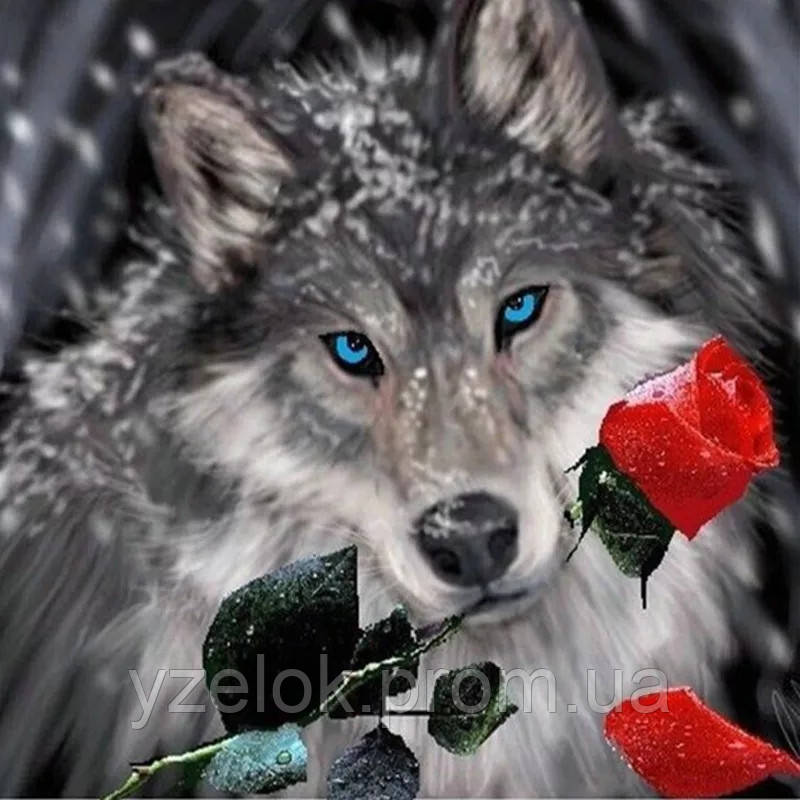 Набір алмазної вишивки "Вовк з трояндою"
