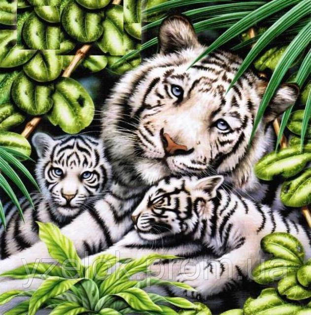 Набір алмазної вишивки "Біла тигриця з тигренятами"
