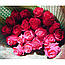 Шикарна троянда з доставкою Cherry O. (Черрі О) оптом, фото 2