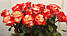 Гібридна велика троянда Farfalla (Фарфалла) оптом, фото 2
