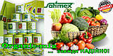 Морква подня Червона Боярня, Satex (Німеччина), фермерська фасовка банка 500 грамів, фото 3