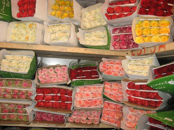 Квіти свіжі доставка кур'єром