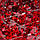 UV/LED GALAXY GEL 04 Red, 5 ml, фото 5