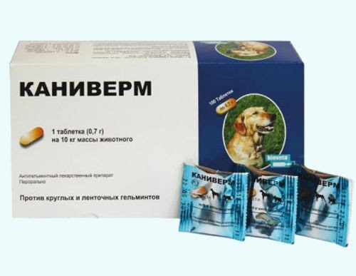 Каниверм таблетки