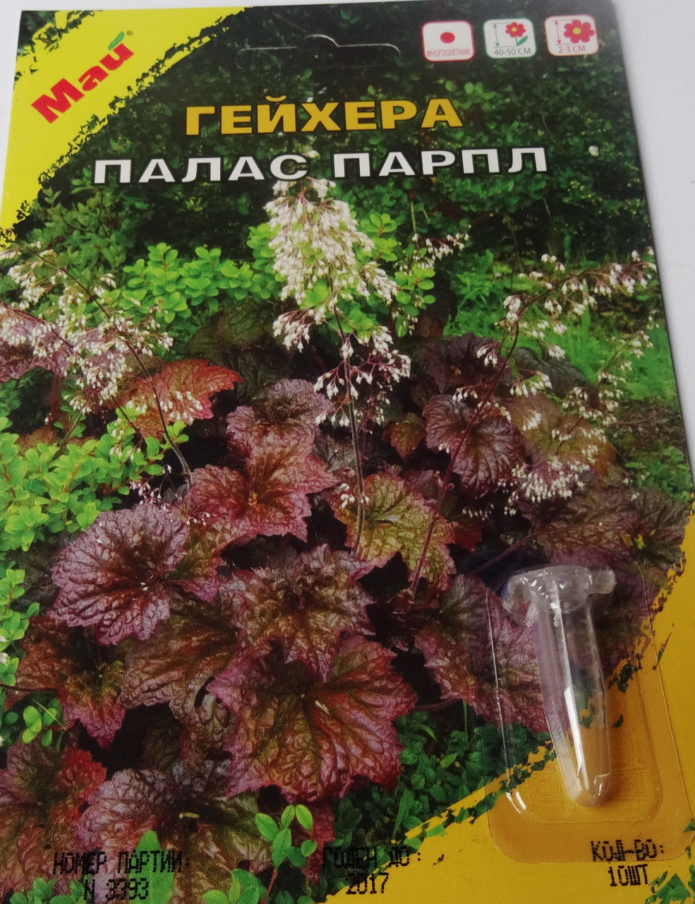 Насіння Гейхери сорт Палас Парпл, Німеччина