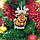 Іграшка дерев'яна новорічна "Різдвяний Олень" для вишивання (ІДН_013 Virena), фото 2