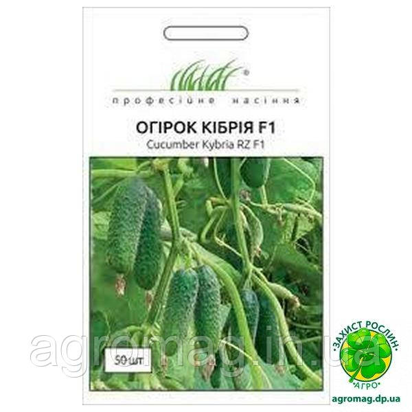 Огірок Кібрія F1 50шт