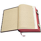 Книга шкіряна Острозька Біблія подарункова, фото 10