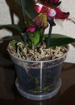 Кашпо для орхидей 15см/1,5л с подставкой - фото 4 - id-p6351658