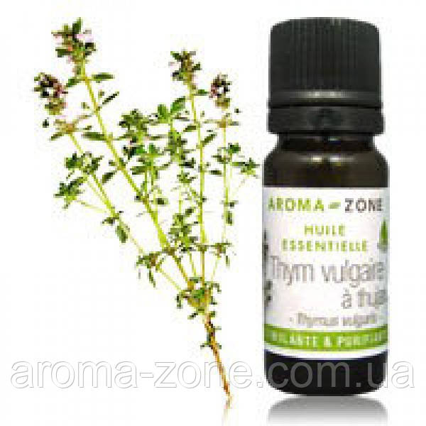 Эфирное масло Тимьян обыкновенный ХТ туянол (Thymus vulgaris CT ...