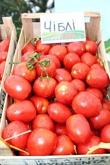 Чиблі F1 насіння томата, 100 насіння — детермінантне, вершка, Syngenta, фото 3