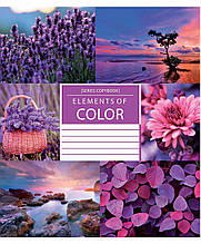Зошит 36 клітина Зошит України COLOR NATURE