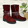 Черевики бордові жіночі замшеві на товстій підошві, фото 3