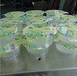 Машина для фасування рідких і сухих продуктів у стакан, фото 9