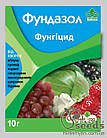 Фунгіцид "Фундазол" 10 г, СС