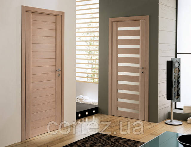 двері з коробкою