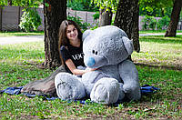 Мягка игрушка Мишка Тедди 160 см Плюшевый мишка тедди Большой мягкий медведь Подарок для детей