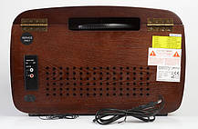 Дерев'яний Грамофон Програвач CAMRY CR 1112 Радіо CD USB + Пульт, фото 3