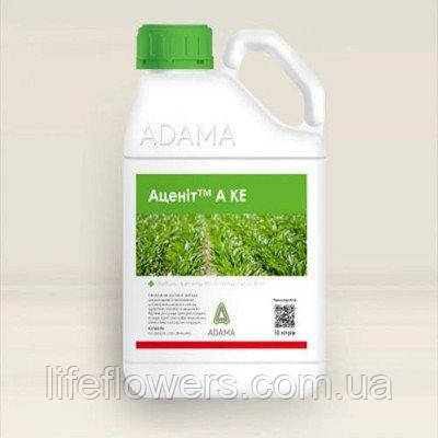 Гербіцид,маль,маль, аналог, Харнес, Adama