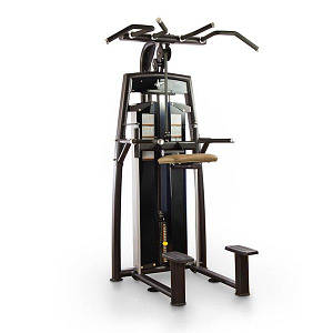 Комбінований верстат з разгружением Pulsefitness 325G