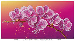 Схема для вишивання бісером Гілка орхідеї